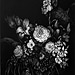 「 徒花の咲く abortive flower 」 73.0×51.7cm 2011