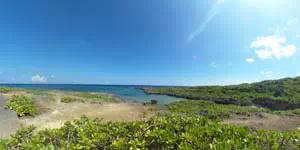 白鳥崎公園(伊良部島)